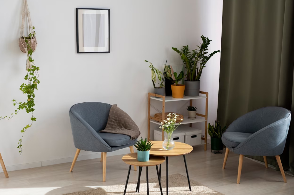 drawing-room