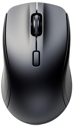 mouse